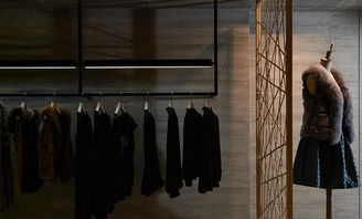 個性化百點精品服飾設計的裝修效果圖與服裝設計融合創新