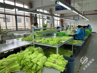 新春新氣象，赤壁服裝企業(yè)設(shè)計(jì)先行，全力沖刺“開(kāi)門(mén)紅”